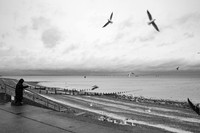 Kent Coast