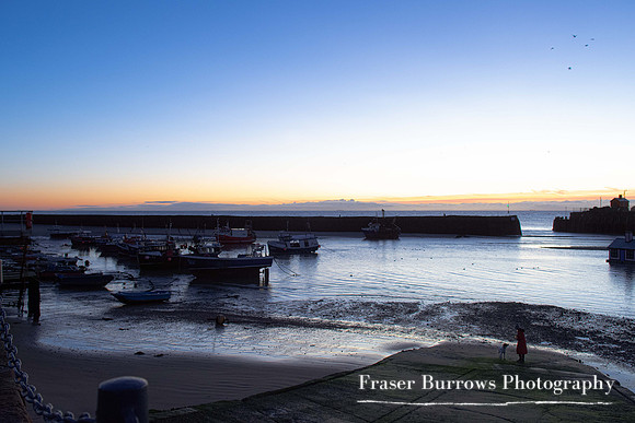 Lady with Dog - Folkestone Harbour