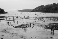 Cockling at Easter, St Antony, Cornwall