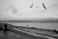 Feeding the birds at Sheerness Beach