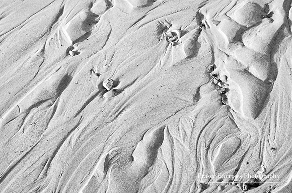 Detail at Norfolk Shore
