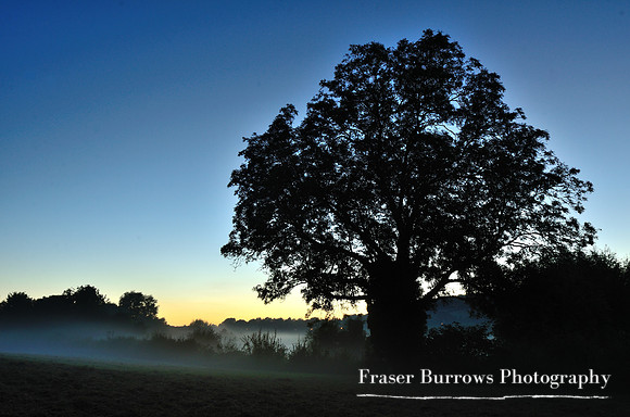 Mist and fog - Eynsford - Kent